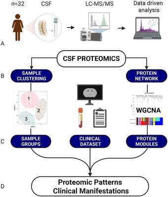 Selected figure from Data-Driven Cluster Analysis of Cerebrospinal Fluid Proteome and Associations with Clinical Phenotypes in Systemic Lupus Erythematosus