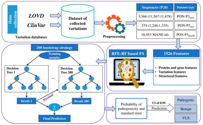 Selected figure from PON-P3: Accurate Prediction of Pathogenicity of Amino Acid Substitutions