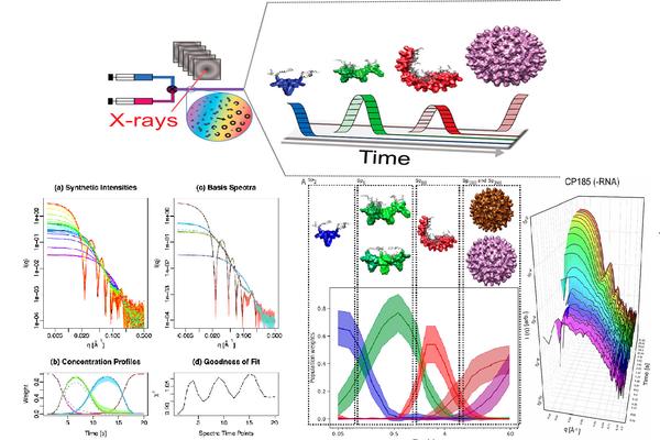 Selected figure from Assembly of Capsids from Hepatitis B Virus Core Protein Progresses through Highly Populated Intermediates in the Presence and Absence of RNA