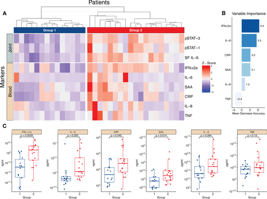 Selected figure from Synovial monocytes contribute to chronic inflammation in childhood-onset arthritis via IL-6/STAT signalling and cell-cell interactions